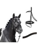 Buy Passier Bridle Apollo - Black Patent Noseband with Reins for Warmblood Horses | International Shipping Available - Buy Online on SooperMarket.com