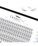 Glowing Win Individual Cluster Lashes - 120 PCS DIY Natural Eyelash Extensions | Wispy False Eyelashes 8-14mm Mix (0.07C 10D) - Buy Online on SooperMarket.com