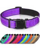 Joytale Reflective Dog Collar for Puppies - XS Purple | International Shipping Available - Buy Online on SooperMarket.com