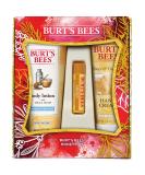 Burt's Bees Honey Pot Holiday Gift Set - 3 Honey Skin Care Products | Body Lotion Hand Cream & Lip Balm - Perfect for Gifting - Buy Online on SooperMarket.com