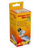 Lucky reptile halogen Sun mini double pack - 35 W heat radiators for E27 sectors - halogen spotlights for reptiles - Terrarium lamp with daylight spectrum - heat lamp for small terrariums silver 35 watts - Buy Online on SooperMarket.com