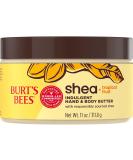 Burt's Bees Shea + Tropical Fruit Indulgent Hand and Body Butter - 11 Oz. - Buy Online on SooperMarket.com