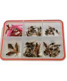 Mustad Signature Fly Hooks Nymph Fly Assortment - 57 Fishing Flies in Various Sizes - Buy Online on SooperMarket.com