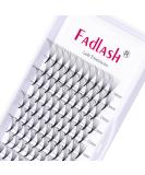 Lash Extension 10D 0.07 Premade Fans Eyelash Extensions D Curl Mix Tray Volume Lash Extensions Short Stem Volume Premade Fans (10D-0.07-D, 8-14mm Mix) 10D-0.07D-8-14 - Buy Online on SooperMarket.com