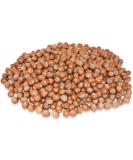 Anna and Sarah Large Oregon Hazelnuts in Shell, 5 Lbs 5 Pound (Pack of 1) - Buy Online on SooperMarket.com