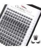 Glowing Win Single Eyelashes Extensions - 144 PCS DIY Cluster Lashes 8-16mm | Natural Wispy Individual False Eyelashes - Buy Online on SooperMarket.com