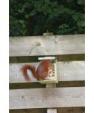 Squirrel Nut Feeder Zinc Roof Pinewood FSC 100% Wildlife Garden - Buy Online on SooperMarket.com