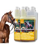 Buy Emma Linseed Oil for Horses & Pets - Cold-Pressed Omega 3 & 6 Fatty Acids for Shiny Fur & Digestion | 2x1L - Ideal for Dogs & Cats - Buy Online on SooperMarket.com