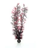 Buy Biorb 46075 XL Horn Coral - Dark Red Aquarium Decoration | Easy-to-Clean Natural Plastic for Freshwater & Saltwater - Buy Online on SooperMarket.com