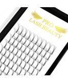Finished eyelash compartments 3D 4D 5D 6D PLEASE VOLLAME OFTESSION 0.07 0.10 eyelash extension eyelashes 6D-D-0.10 13mm 13 mm 6D-D-0.10 - Buy Online on SooperMarket.com