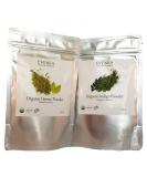 100g Pure Organic Henna + 100g Pure Organic Indigo (India) - Buy Online on SooperMarket.com