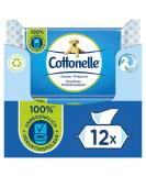 Buy Cottonelle Moist Toilet Paper - Biodegradable Wet Wipes with Cotton Fragrance | 12x42 Pack - Clean & Nourishing | International Shipping Available - Buy Online on SooperMarket.com