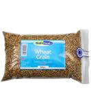 Wheat Grain - All Natural - 500g - Buy Online on SooperMarket.com