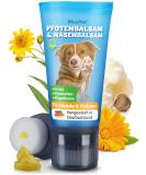Bluepet Pfotenbalsam dog stick i dog paws for stressed paws & noses in every season I maintains relieves & protects pfot care dog - Buy Online on SooperMarket.com
