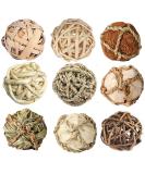 Camiter 9-Piece Chewing Toy Set for Small Animals | Hamsters Rabbits Guinea Pigs & More - Durable Chew Cases & Cube Toys - Buy Online on SooperMarket.com