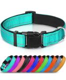 Joytale Reflective Dog Collar - Adjustable & Padded Nylon Collar for Dogs - 12 Colors - Small to Extra Large Sizes - Teal - Buy Online on SooperMarket.com