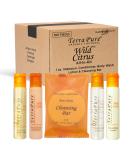 Terra Pure Wild Citrus Hotel Amenities Set - 300 Organic Paraben-Free 1oz Shampoo Conditioner Body Wash Lotion & Soap Bar - Ideal for International eCommerce - Buy Online on SooperMarket.com