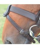 Shires Velociti GARA Flash Attachment Havana - Buy Online on SooperMarket.com