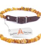 Amber Necklace for Dogs & Cats - Natural Tick & Flea Protection | Baltic Secret - Buy Online on SooperMarket.com