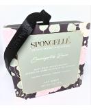 Buy HLXFF3 Spongelle Eucalyptus Rain Body Wash Buffer - Luxurious International Shipping Available - Buy Online on SooperMarket.com