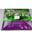 Herba Leonuri/Motherwort/YI MU CAO/ (250g) - Buy Online on SooperMarket.com