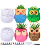 6 Sets DIY Ceramic Owl Succulent Pots Figurines Paint Craft Kit Unpainted Ceramic Bisque Paintable Owl Ceramic Flowerpots with Drainage Hole Ready to Paint for Kids Classroom Craft Project Acticity - Buy Online on SooperMarket.com