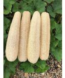 YEMTAL Natural Loofah Sponges Organic Luffa Bath Shower Sponge Exfoliating Body Back Scrubber for Men Women Adults SPA Beauty Bathing Daily Care - 4 PCS 4 Pack - Buy Online on SooperMarket.com