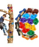 Happy Motte Tree Rock Climbing Holds for Kids - 12 Holds with 6 Ratchet Straps for Warrior Obstacle Course - Outdoor Playground Backyard Accessories - Buy Online on SooperMarket.com