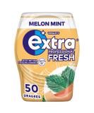 Extra Professional Fresh Chewing Gum Melon Mint 50 Dragees Melon Mint 50 pieces (1 pack) - Buy Online on SooperMarket.com