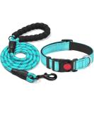 Haapaw Reflecting Dog Collar - Padded Soft Neoprene Breathable Nylon for Small to Medium Dogs - Turquoise (1-Pack) - Buy Online on SooperMarket.com