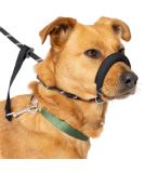 Total Pet Anti-Pull Figure 8 Dog Lead with Padded Nose Support - Medium/Large Black - Buy Online on SooperMarket.com