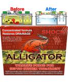 Septic Treatment  Tank Cleaner  Safe Enzyme and Bacteria for Best Septic Tank Treatment  Flush Toilet Closet with bio Active Organic Powder Monthly for Aerobic Odor and Sludge drainfield Control - Buy Online on SooperMarket.com