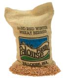 Hard Red Winter Wheat Berries | Family Farmed in Washington State | Non-GMO Project Verified | 5 LBS | 100% Non-Irradiated | Certified Kosher Parve | Field Traced | Burlap Bag - Buy Online on SooperMarket.com