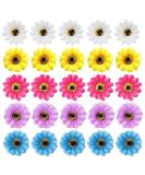 inSowni 25 Pack Hawaiian Wedding Sunflower Daisy Alligator Hair Clips for Women and Girls - Buy Online on SooperMarket.com