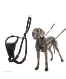 Halti no Pull Anti-Zug dishes size large- prevents your dog from pulling on the leash padded chest and ic belt reflective belt material simple adjustment and use - Buy Online on SooperMarket.com