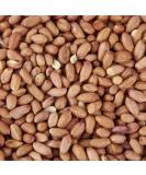 Peanut Kernels 5L Refill 1 count (Pack of 1) - Buy Online on SooperMarket.com