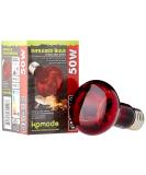 Komodo Infrared Heat Lamp ES 50 Watt - Buy Online on SooperMarket.com