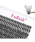 Individual Lashes Fadlash Cluster Eyelashes Extension 40 Root 0.07mm D Curl 14mm Single Length Eyelashes Individual Cluster Lashes Self-Application DIY Lashes Extensions 14mm 40D-0.07-D - Buy Online on SooperMarket.com