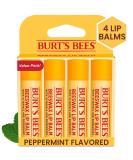 Burts Bees Beeswax Lip Balm Pack 0.15 oz 4-Piece Vanilla 1 count (Pack of 4) - Buy Online on SooperMarket.com