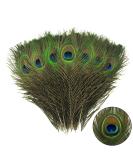 THARAHT 12pcs Peacock Feather Natural in Bulk 10-12 inch 25-30cm for Craft Vase Wedding Home Party Christmas Day Decoration Peacock Feathers 10-12Inch-Big Eyes-12PCS - Buy Online on SooperMarket.com
