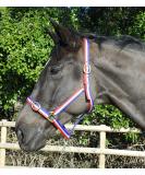 Buy Rhinegold Nylon Halter for Coldblood & Warmblood - Extra Large Red/White/Blue | International Shipping Available - Buy Online on SooperMarket.com