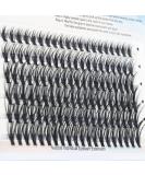 MAEXUS 120 Clusters DIY Eyelash Extensions | C Curl Individual Wispy Lashes | 0.07C 8mm-16mm MIX - Buy Online on SooperMarket.com