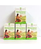 Palanquin Spearmint Tea (4 Boxes) - Buy Online on SooperMarket.com
