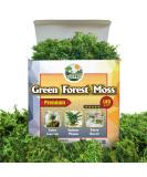 DUSPRO Green Moss for Crafts, Artificial Moss for Potted Plants, Decorative Moss for Table Centerpieces Wedding Christmas Fairy Party Decor, Faux Moss for Indoor Planters, DIY Project 140gr - Buy Online on SooperMarket.com