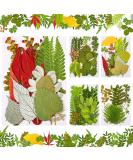 99-Piece Assorted Real Dried Leaves for Resin Art & Craft - Plant Herbarium & DIY Jewelry Decoration - Handmade Bookmarks - 5 Bags - Buy Online on SooperMarket.com