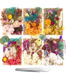Pressed Dried Flowers Kit with Tweezers - Colorful Real Dried Flowers for Resin Jewelry DIY - Buy Online on SooperMarket.com