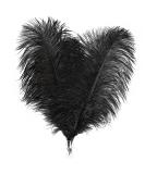 Soarer Black Ostrich Feathers Bulk - 30pcs 8-10 inches for Wedding Party Centerpieces  Home Decorations and DIY Crafts(Black) Black 8-10inch - Buy Online on SooperMarket.com