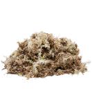Komodo Habitat Moss 1.5 Litre May Vary 1.5 l (Pack of 1) - Buy Online on SooperMarket.com