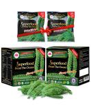 Longevity Sea Grapes | Umibudo Grape Seaweed | Vegan Caviar | 12 x 20g | Raw Food for Crispy Salads | 8.4 Ounce - Buy Online on SooperMarket.com