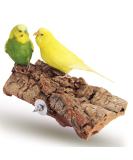 Vogelgaleria great cork seating board for birds |Wellensing cork sitting board 20x10 cm as a perfect accessory in the cage |Cork bark is a great toy for nymphic and parrot cork board '' '' 20x10cm - Buy Online on SooperMarket.com